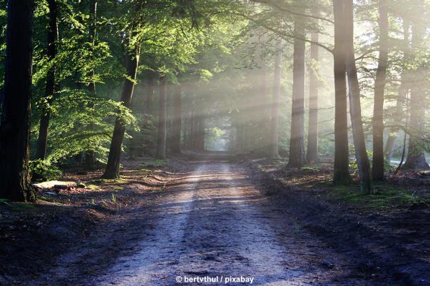 Museum Wald und Umwelt