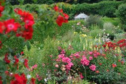 Botanischer Garten, 0620BotGarten