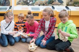 Museum Mensch und Natur, 0423MenschNatur