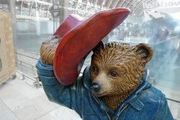 Paddington Bär, 1124Patentorchester