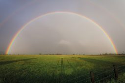 Rainbow Sound Orchestra, Regenbogen_StockSnap_pixabay